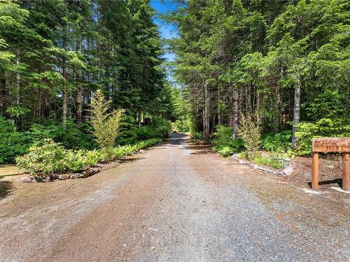 3860 Trailhead Dr, Sooke, BC 