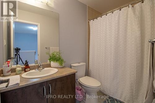 144 Crafter Crescent, Hamilton, ON - Indoor Photo Showing Bathroom