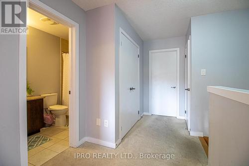 144 Crafter Crescent, Hamilton, ON - Indoor Photo Showing Other Room