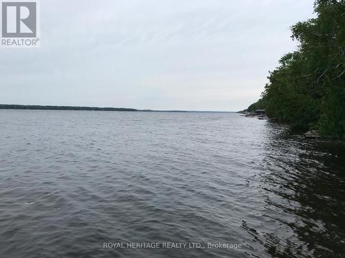 14 Major Street, Kawartha Lakes, ON - Outdoor With Body Of Water With View