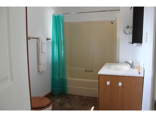 316 3Rd Avenue Nw, Nakusp, BC - Indoor Photo Showing Bathroom