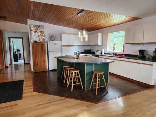 316 3Rd Avenue Nw, Nakusp, BC - Indoor Photo Showing Kitchen With Double Sink