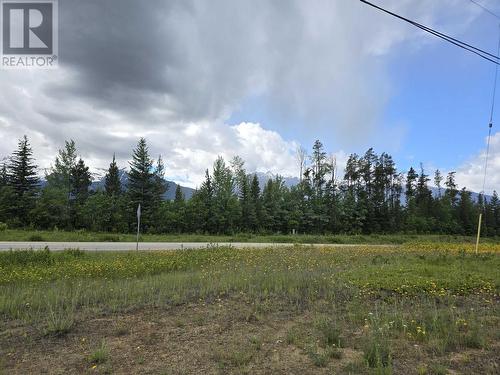 16380 N 5 Highway, Valemount, BC - Outdoor With View