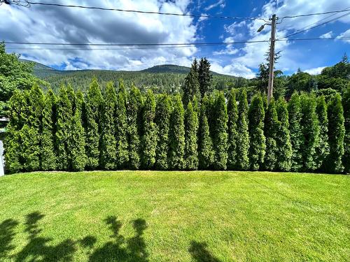 1403 Front Street, Nelson, BC - Outdoor