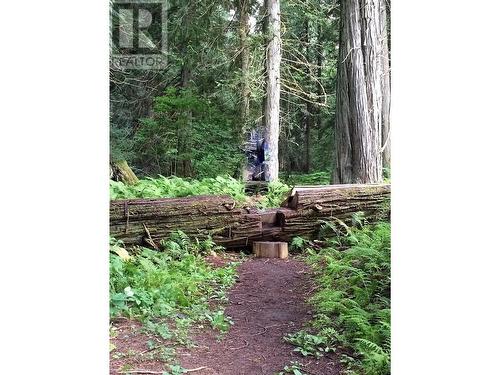 3499 Luoma Road Unit# 158 Lot# 158, Malakwa, BC 