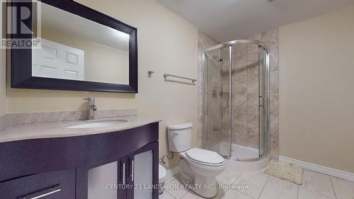 51 Philips Lake Court, Richmond Hill (Jefferson), ON - Indoor Photo Showing Bathroom