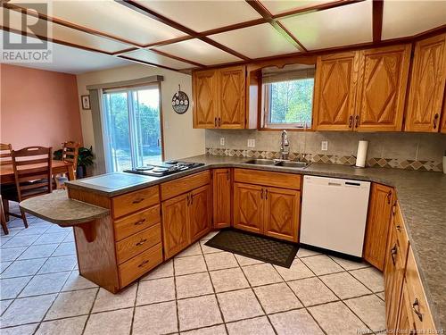 15 Gagnon Street, Saint-André, NB - Indoor Photo Showing Kitchen With Double Sink