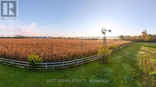 13181 Railroad Line, Chatham-Kent (Thamesville), ON 