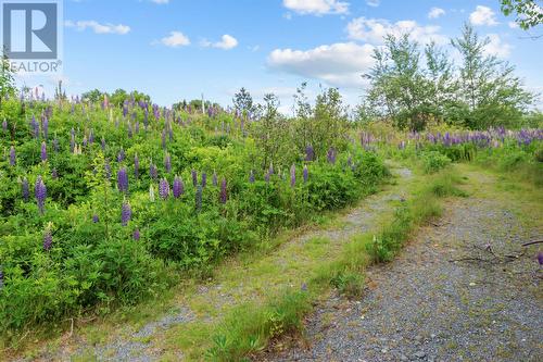 395 Conception Bay Highway, Holyrood, NL 