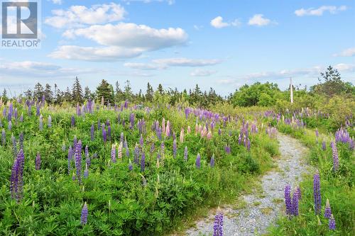 395 Conception Bay Highway, Holyrood, NL 