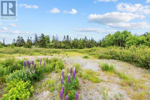 395 Conception Bay Highway, Holyrood, NL 