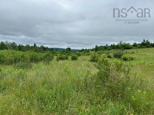 Lot 1 Mines Road, Upper Falmouth, NS 