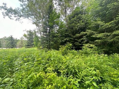 Terre/Terrain - Boul. St-Francois, Lac-Des-Écorces, QC 