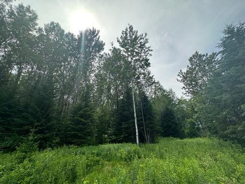 Terre/Terrain - Boul. St-Francois, Lac-Des-Écorces, QC 