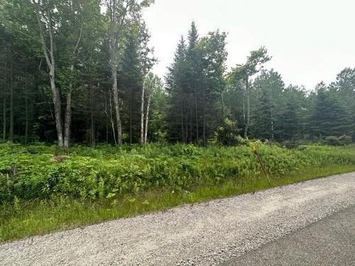 Terre/Terrain - Boul. St-Francois, Lac-Des-Écorces, QC 