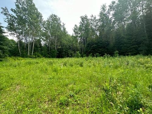 Terre/Terrain - Boul. St-Francois, Lac-Des-Écorces, QC 