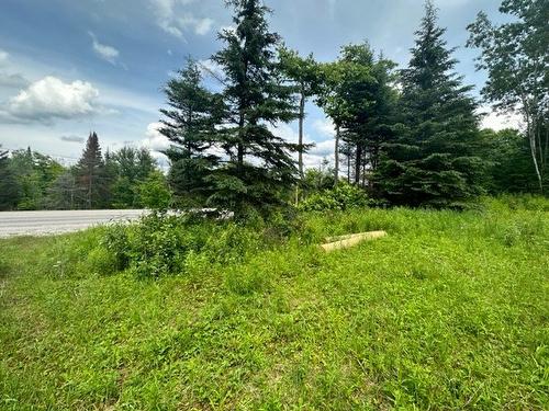 Terre/Terrain - Boul. St-Francois, Lac-Des-Écorces, QC 