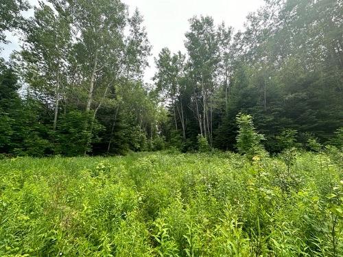 Terre/Terrain - Boul. St-Francois, Lac-Des-Écorces, QC 