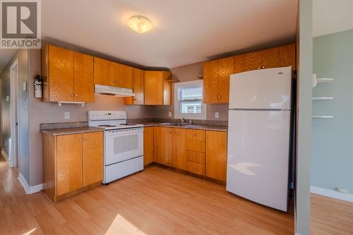 9 Green Street, St.John'S, NL - Indoor Photo Showing Kitchen