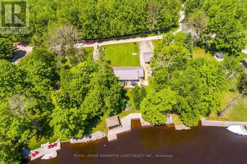 117 Lenwil Road, Kawartha Lakes, ON - Outdoor With Body Of Water
