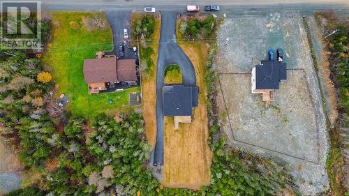 306 Three Island Pond Road, Paradise, NL - Outdoor With View