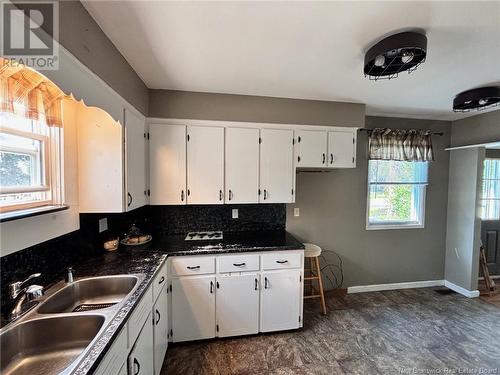 34 Rosedale Drive, Hartland, NB - Indoor Photo Showing Kitchen With Double Sink