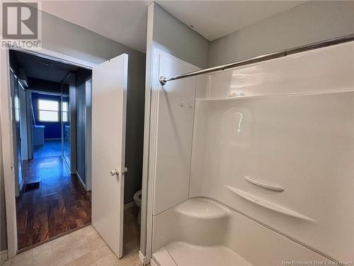 34 Rosedale Drive, Hartland, NB - Indoor Photo Showing Bathroom