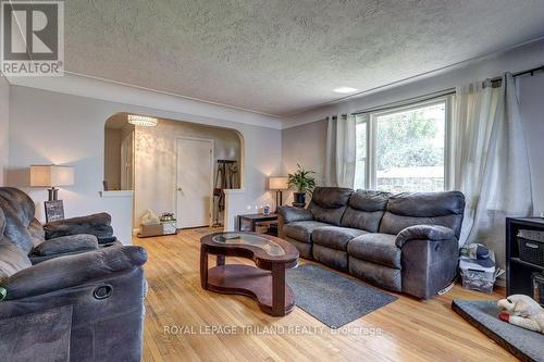 266 Alma Street, St. Thomas, ON - Indoor Photo Showing Living Room