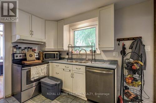 266 Alma Street, St. Thomas, ON - Indoor Photo Showing Kitchen With Double Sink