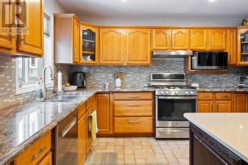 383 Briar Ridge, Amherstburg, ON - Indoor Photo Showing Kitchen With Double Sink