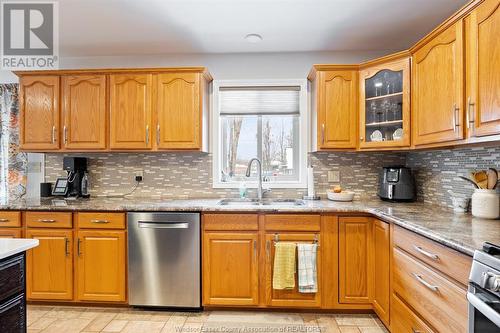 383 Briar Ridge, Amherstburg, ON - Indoor Photo Showing Kitchen With Double Sink