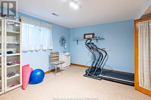 383 Briar Ridge, Amherstburg, ON - Indoor Photo Showing Gym Room