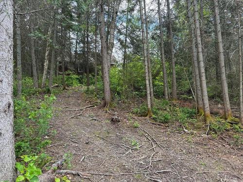 Exterior - 6 Île Lac Desvaux, Rouyn-Noranda, QC - Outdoor With View