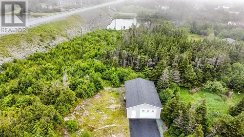 10 Robin'S Pond Hill Road, Torbay, NL - Outdoor With View