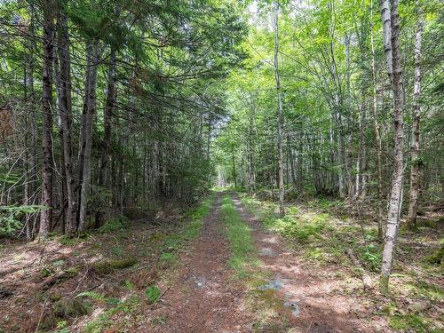 Lots Gordons Trail, Canaan, NS 