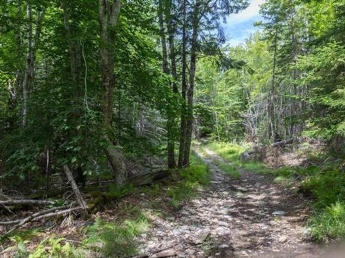 Lots Gordons Trail, Canaan, NS 