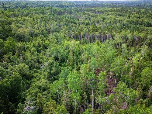 Lot 2-Cd Renfrew Road, Nine Mile River, NS 