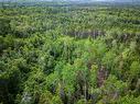 Lot 2-Cd Renfrew Road, Nine Mile River, NS 