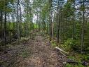 Lot 2-Cd Renfrew Road, Nine Mile River, NS 