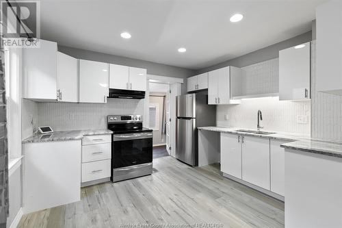 1663 Goyeau, Windsor, ON - Indoor Photo Showing Kitchen With Double Sink With Upgraded Kitchen