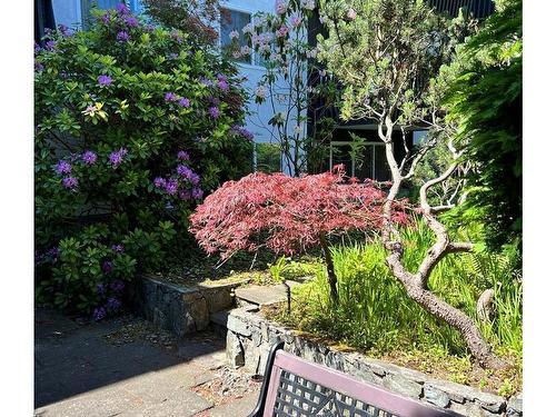 102-1035 Mcclure St, Victoria, BC - Outdoor