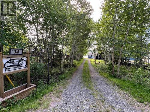 14 Crooked Lake Road, Badger, NL - Outdoor