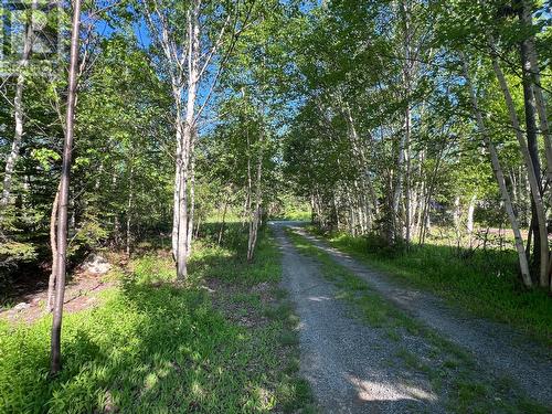 14 Crooked Lake Road, Badger, NL - Outdoor With View