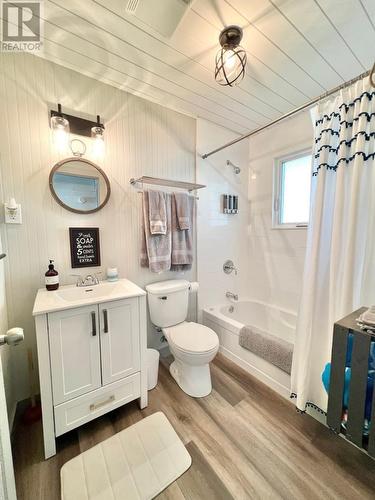 14 Crooked Lake Road, Badger, NL - Indoor Photo Showing Bathroom