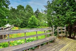 Views of the yard from deck - 