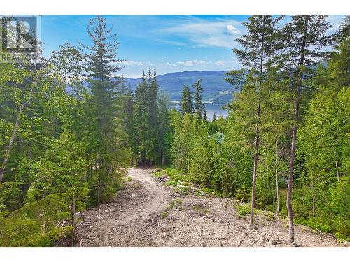 5166 Sunset Drive, Eagle Bay, BC 