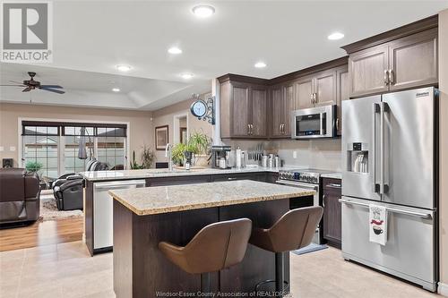 1126 Florence Avenue, Windsor, ON - Indoor Photo Showing Kitchen With Upgraded Kitchen