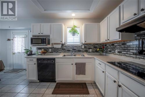 930 Windsor Avenue, Windsor, ON - Indoor Photo Showing Kitchen With Double Sink