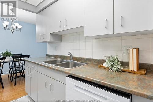 5355 Wyandotte Unit# 102, Windsor, ON - Indoor Photo Showing Kitchen With Double Sink