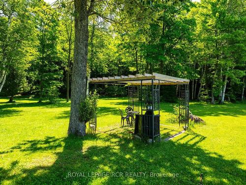 573042 Side Road 57A, Grey Highlands, ON - Outdoor